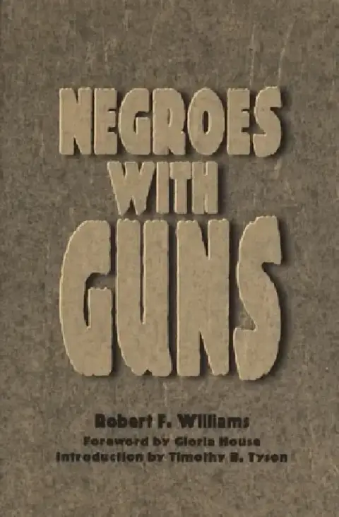 Cover of Negroes with Guns