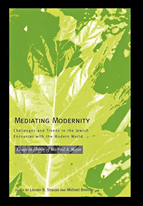 Cover of Mediating Modernity