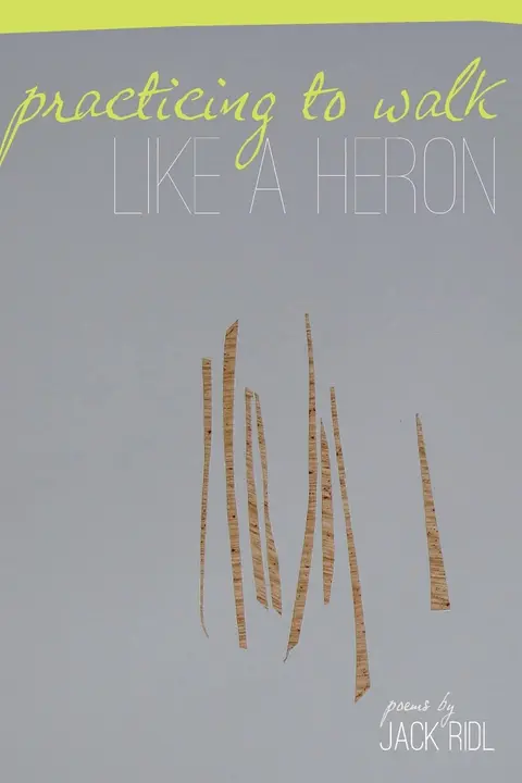 Cover of Practicing to Walk Like a Heron