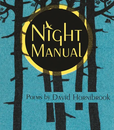 Cover of Night Manual