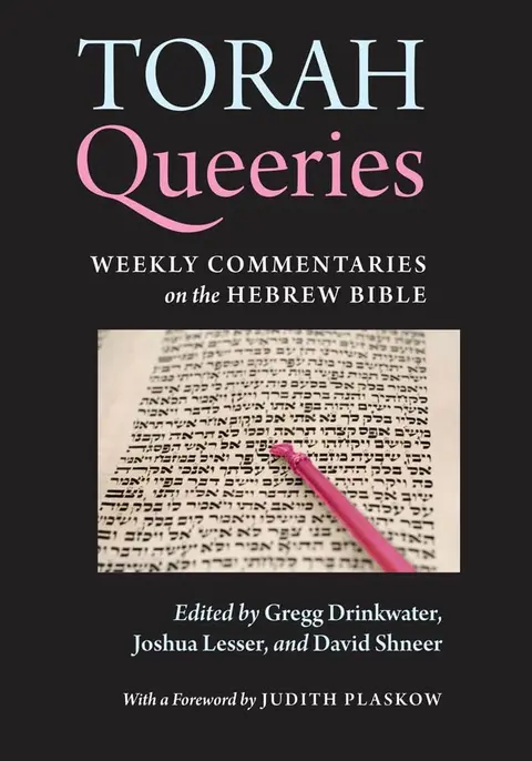 Cover of Torah Queeries