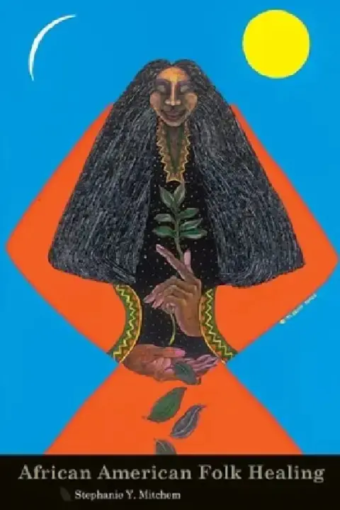 Cover of African American Folk Healing
