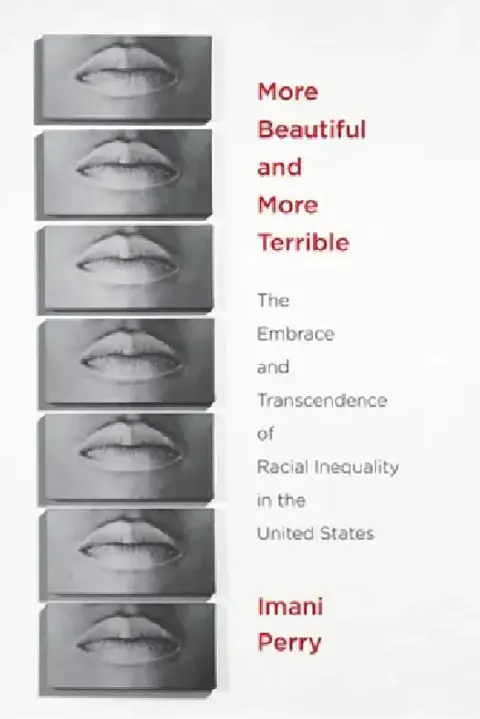 Cover of More Beautiful and More Terrible