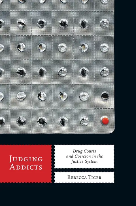 Cover of Judging Addicts