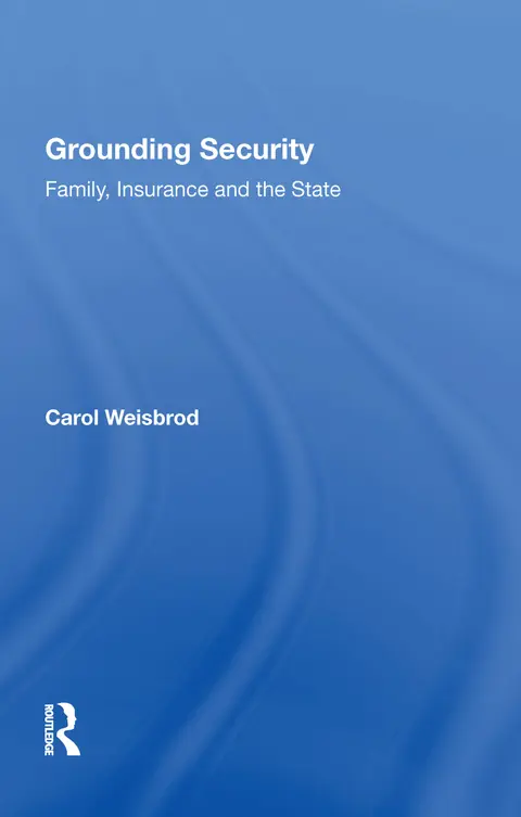 Cover of Grounding Security