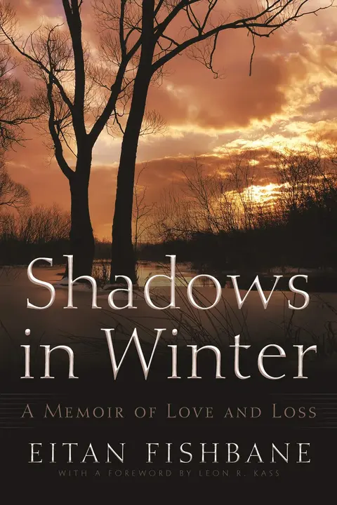 Cover of Shadows in Winter