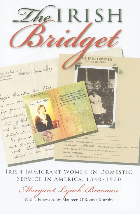Cover of The Irish Bridget