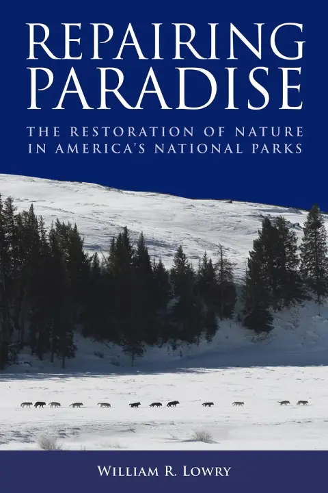 Cover of Repairing Paradise