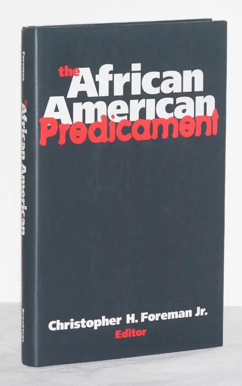 Cover of The African American Predicament