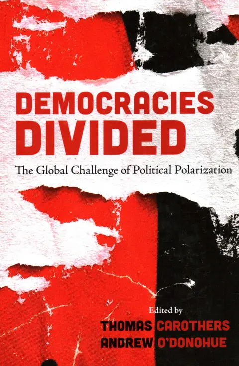 Cover of Democracies Divided