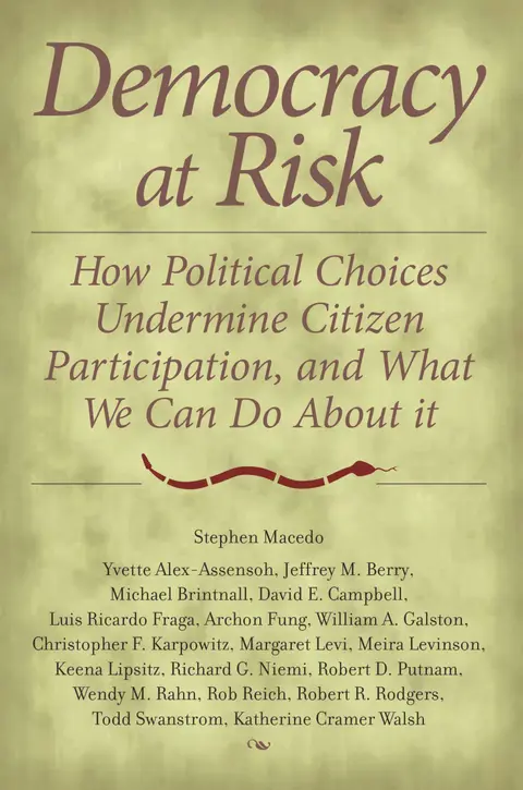 Cover of Democracy at Risk