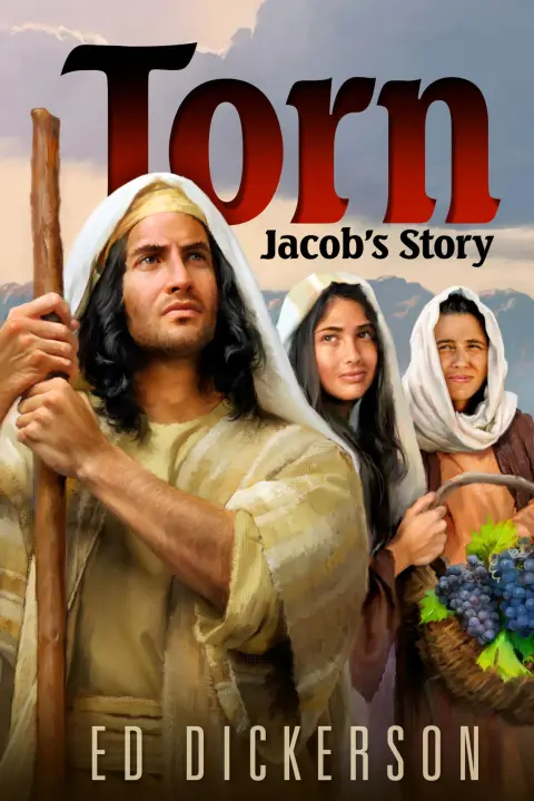 Cover of Torn