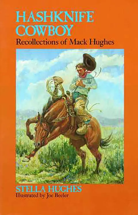 Cover of Hashknife Cowboy