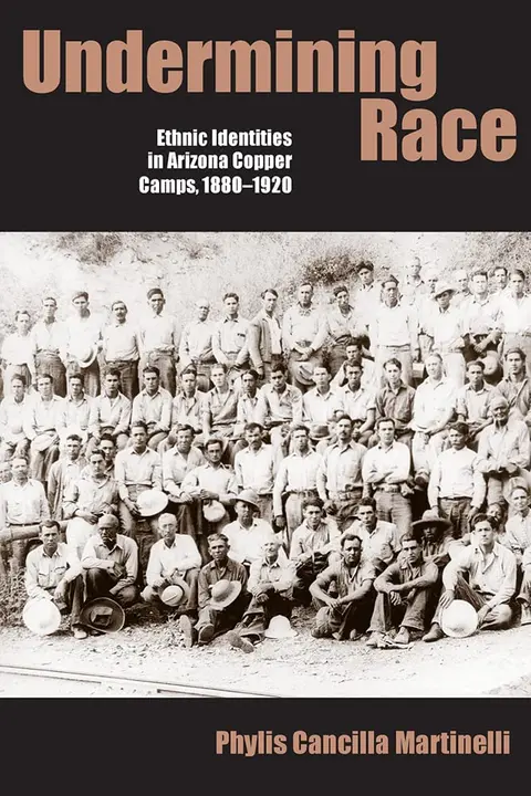 Cover of Undermining Race