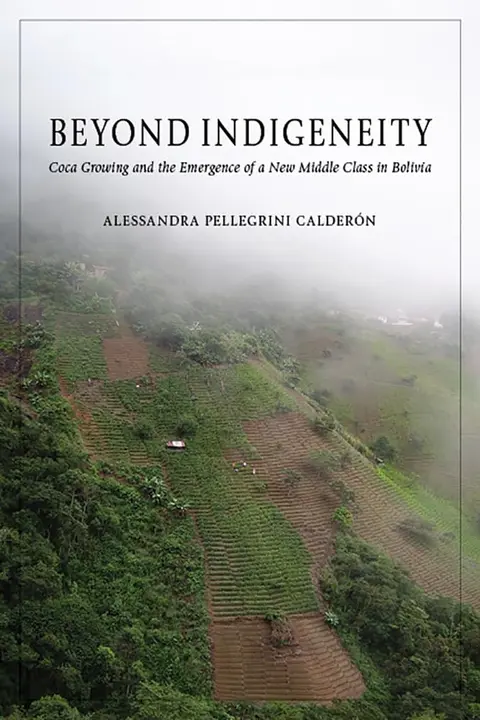 Cover of Beyond Indigeneity