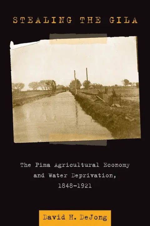 Cover of Stealing the Gila
