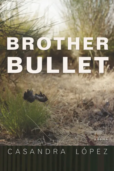 Cover of Brother Bullet