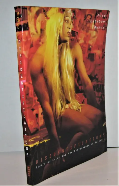 Cover of Disidentifications