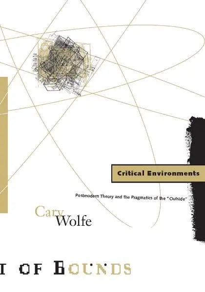 Cover of Critical Environments