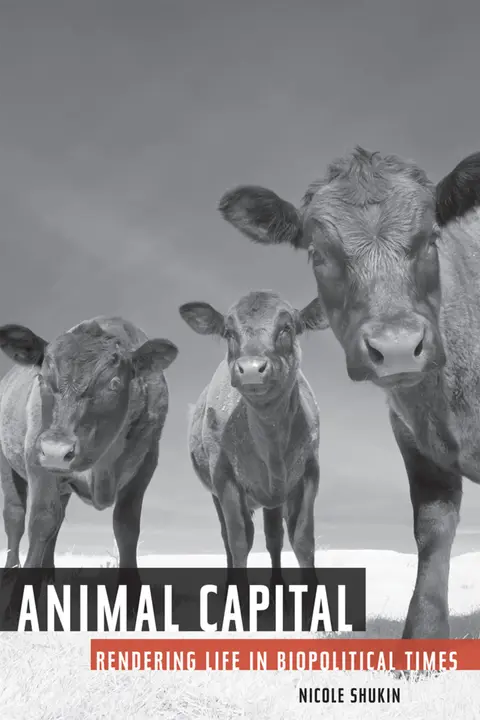 Cover of Animal Capital