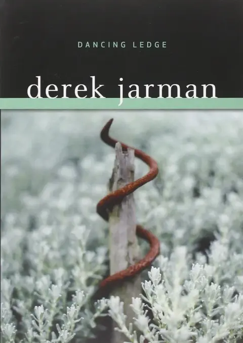 Cover of Dancing Ledge