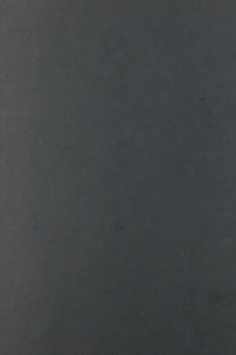 Cover of Pedestrian Modern
