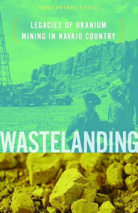 Cover of Wastelanding