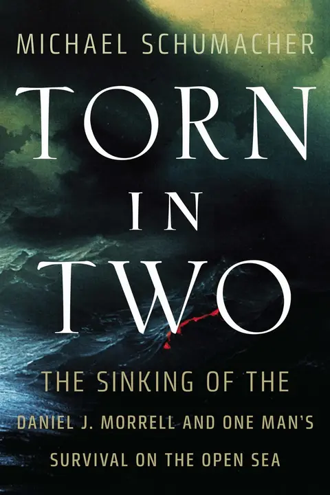 Cover of Torn in Two