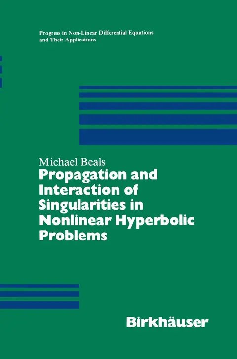 Cover of Propagation and Interaction of Singularities in Nonlinear Hyperbolic Problems