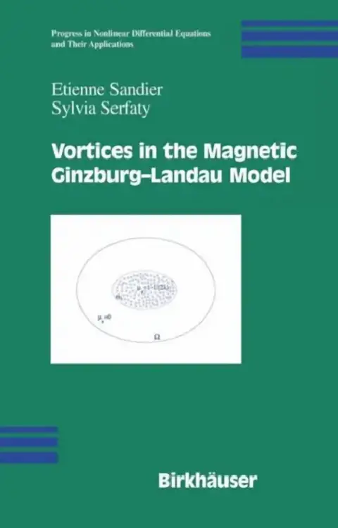 Cover of Vortices in the Magnetic Ginzburg-Landau Model
