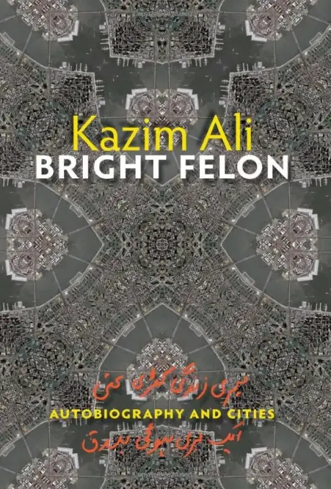 Cover of Bright Felon