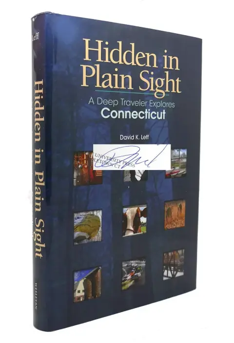 Cover of Hidden in Plain Sight