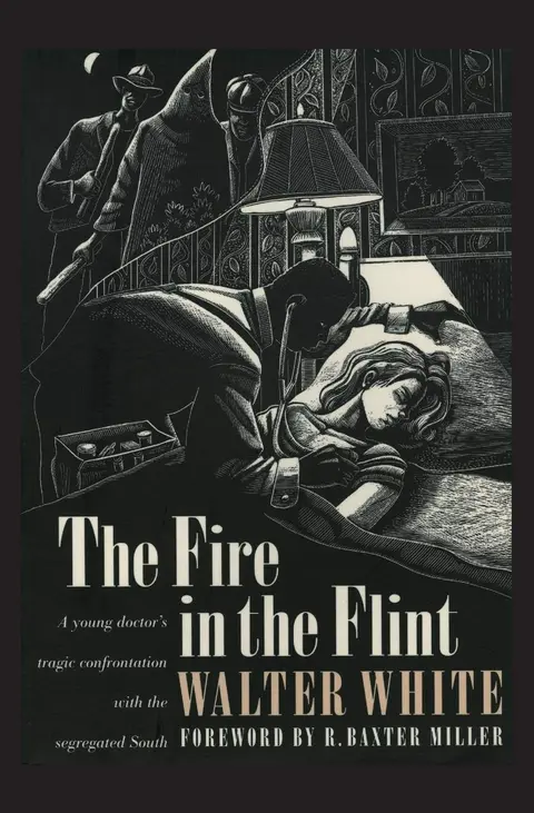 Cover of The Fire in the Flint