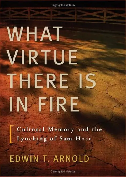 Cover of What Virtue There is in Fire