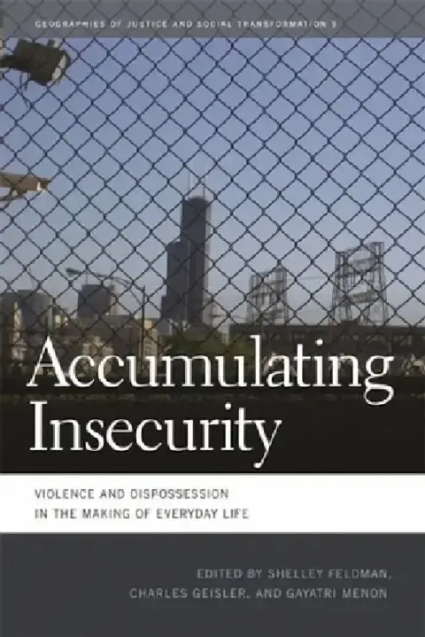 Cover of Accumulating Insecurity
