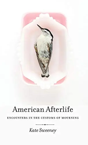 Cover of American Afterlife