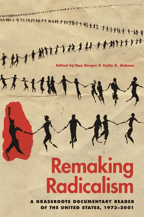 Cover of Remaking Radicalism