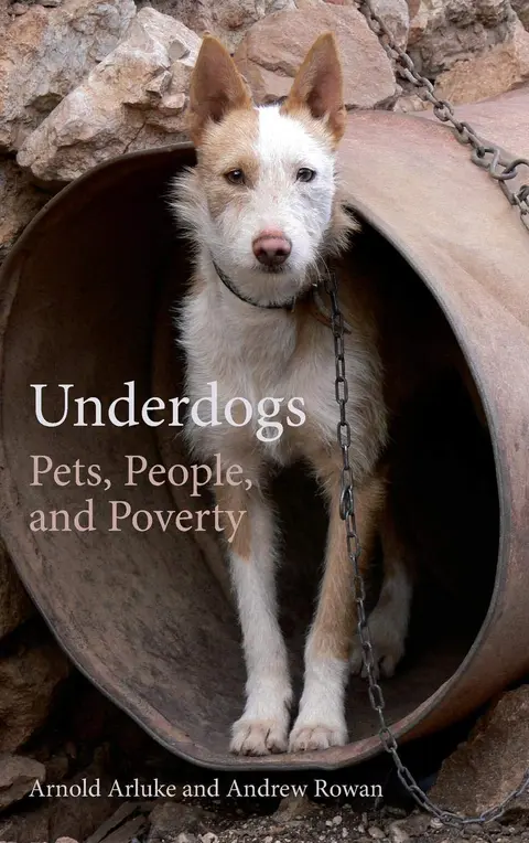Cover of Underdogs