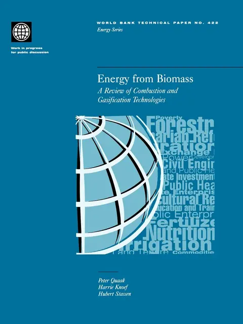 Cover of Energy from Biomass