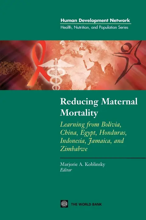 Cover of Reducing Maternal Mortality
