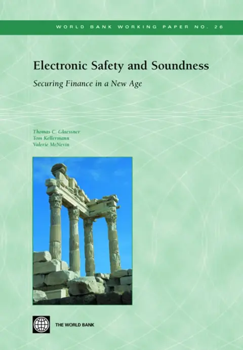 Cover of Electronic Safety and Soundness