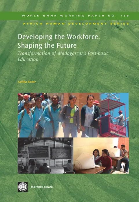 Cover of Developing the Workforce Shaping T