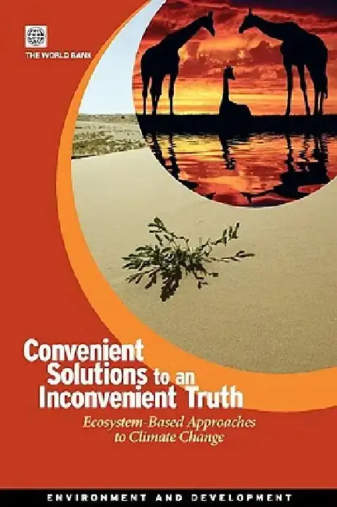 Cover of Convenient Solutions for an Inconvenient Truth