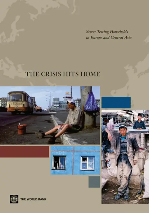 Cover of The Crisis Hits Home