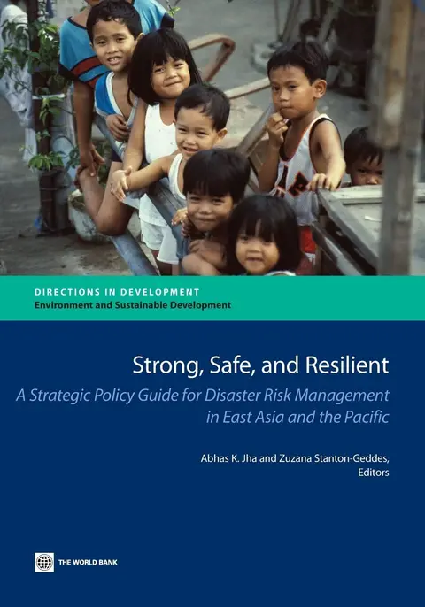 Cover of Strong, Safe, and Resilient