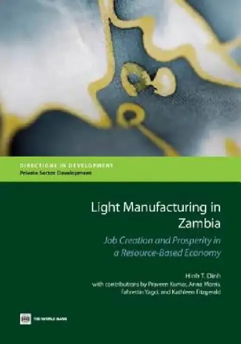 Cover of Light Manufacturing in Zambia