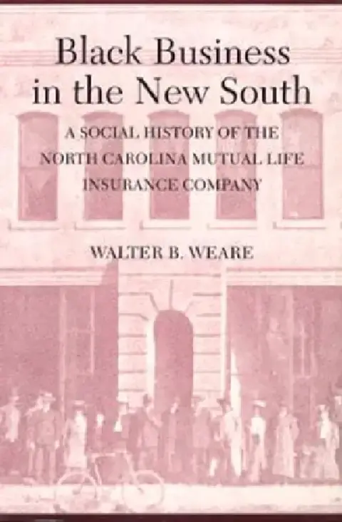 Cover of Black Business in the New South