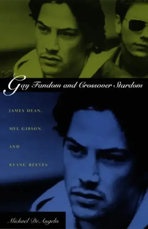 Cover of Gay Fandom and Crossover Stardom