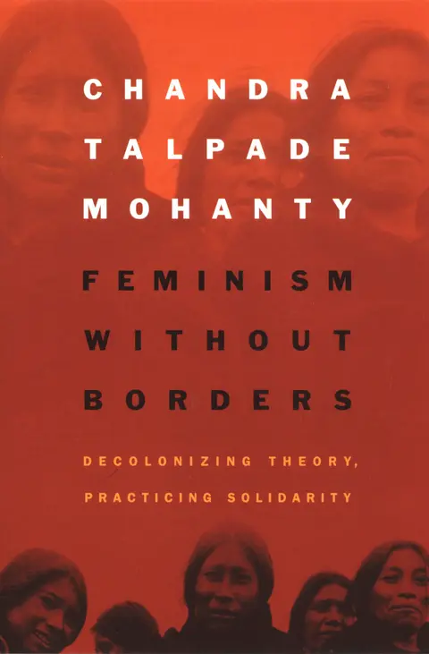 Cover of Feminism without Borders