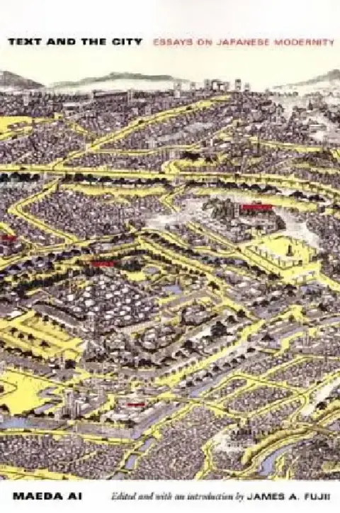 Cover of Text and the City